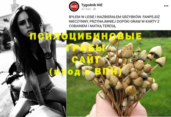 дживик Абаза
